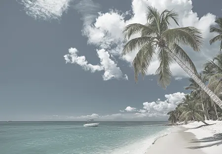 Pristine coastal shores